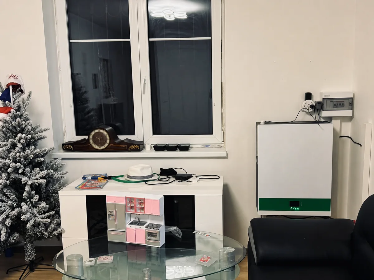 48V-class LFP wall battery cabinet with breaker panel in a compact residential equipment area