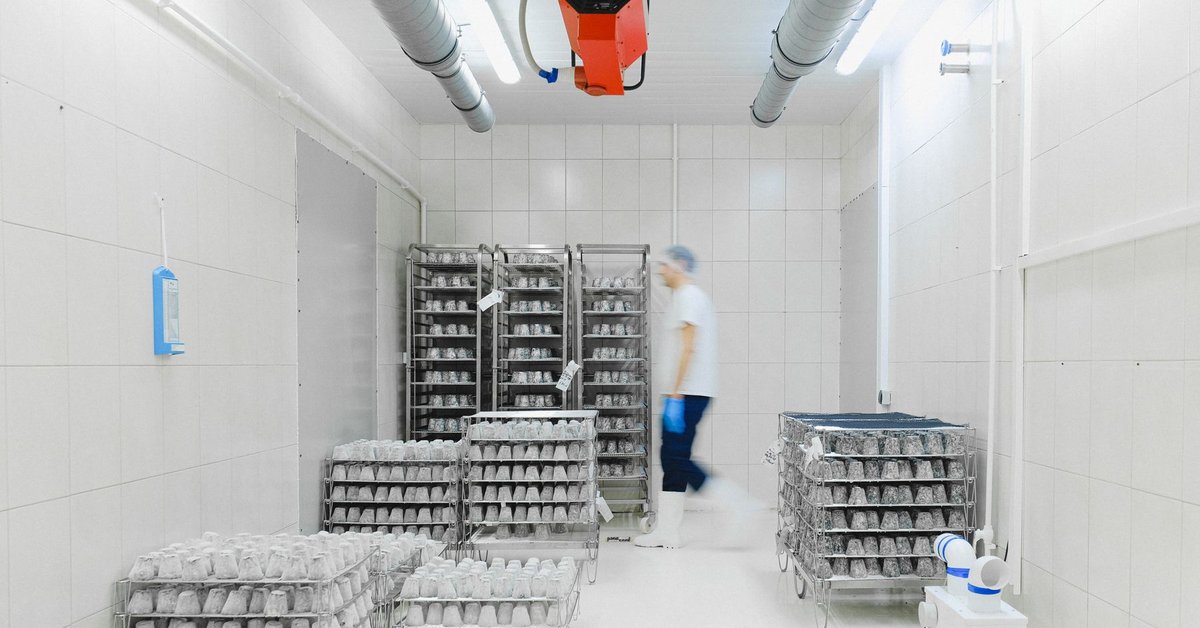 Illustrative refrigerated food storage facility — Anna Shvets / Pexels